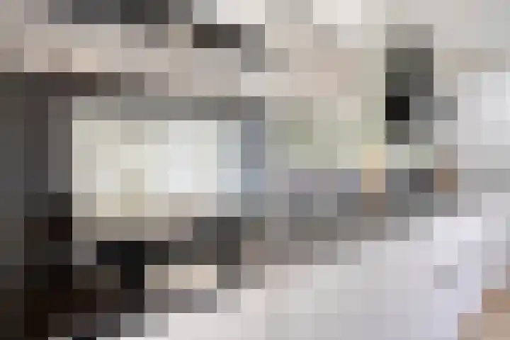 De Roterij 24 Bedum thumbnail 21