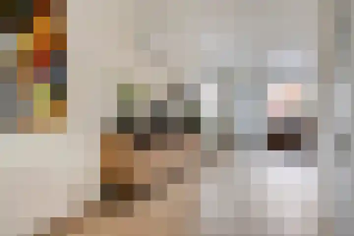 De Roterij 24 Bedum thumbnail 25
