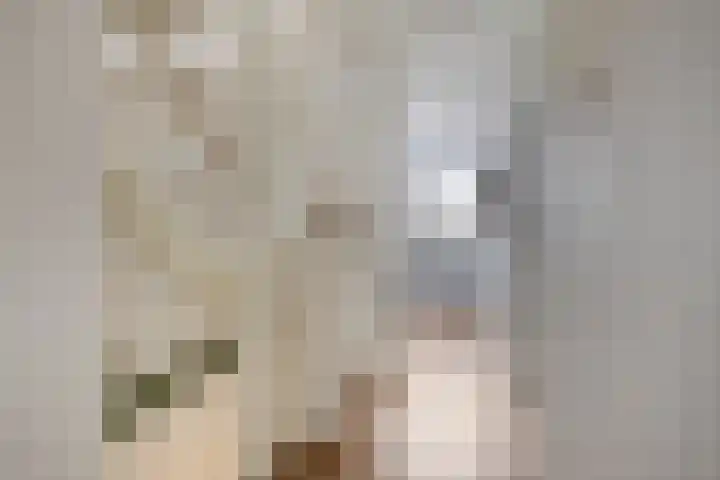 De Roterij 24 Bedum thumbnail 30