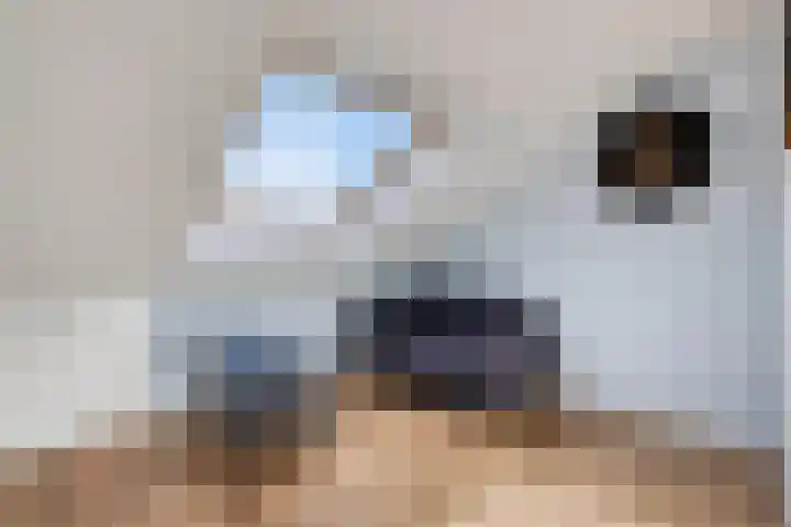 De Roterij 24 Bedum thumbnail 40