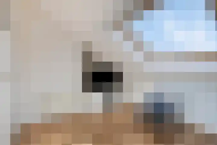 De Roterij 24 Bedum thumbnail 41