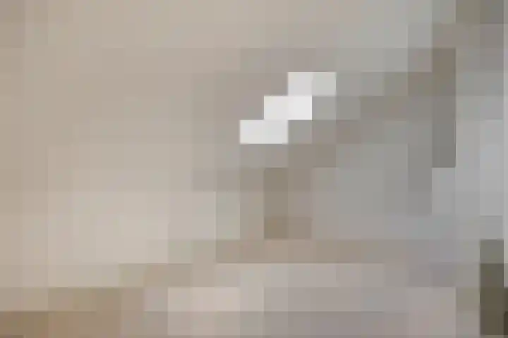 De Roterij 24 Bedum thumbnail 43