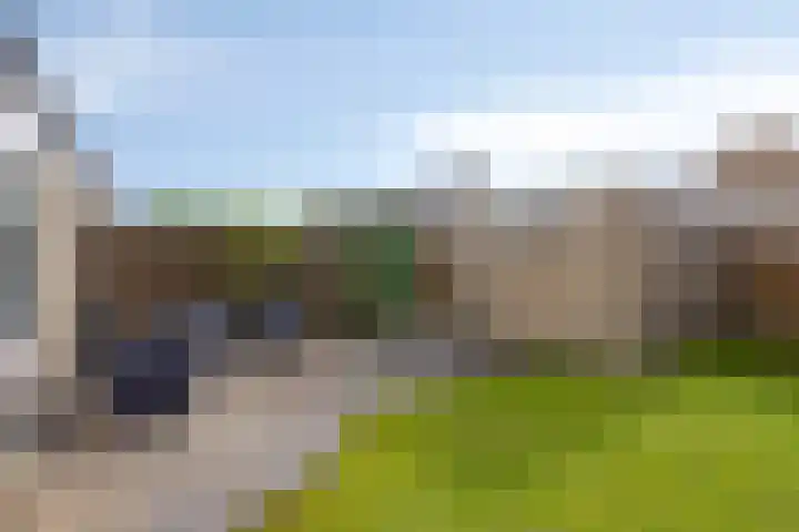 De Roterij 24 Bedum thumbnail 44