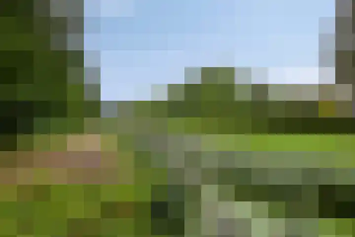 De Roterij 24 Bedum thumbnail 48