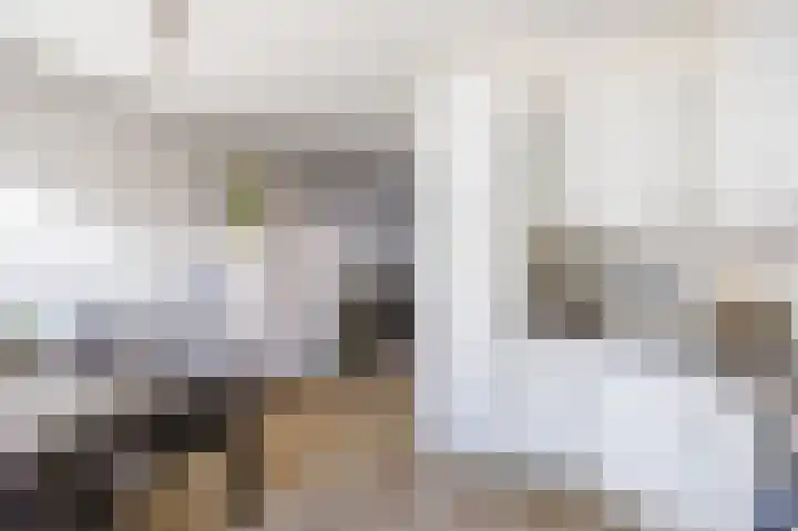 De Roterij 32 Bedum thumbnail 18
