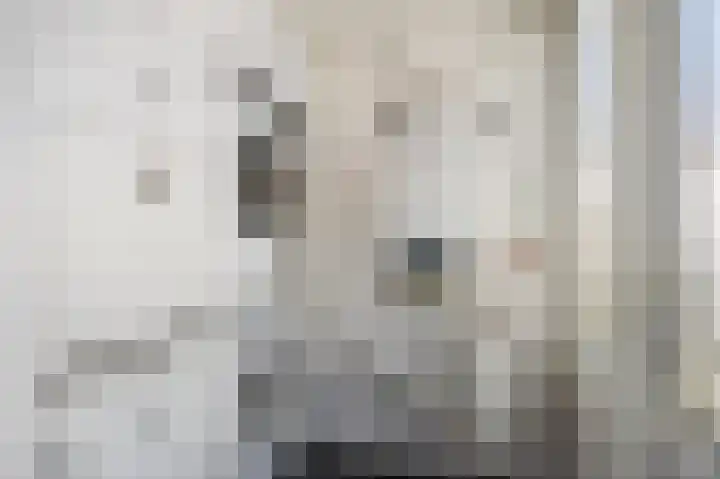De Roterij 32 Bedum thumbnail 21