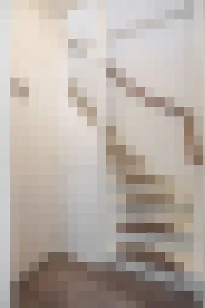 De Roterij 32 Bedum thumbnail 22