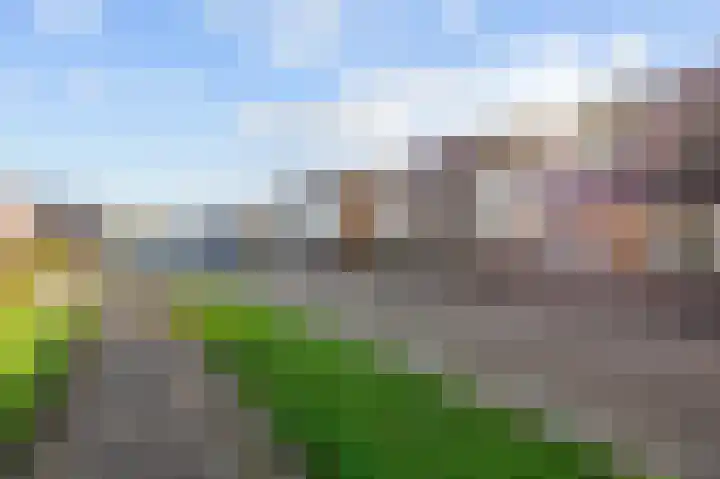 De Roterij 32 Bedum thumbnail 5