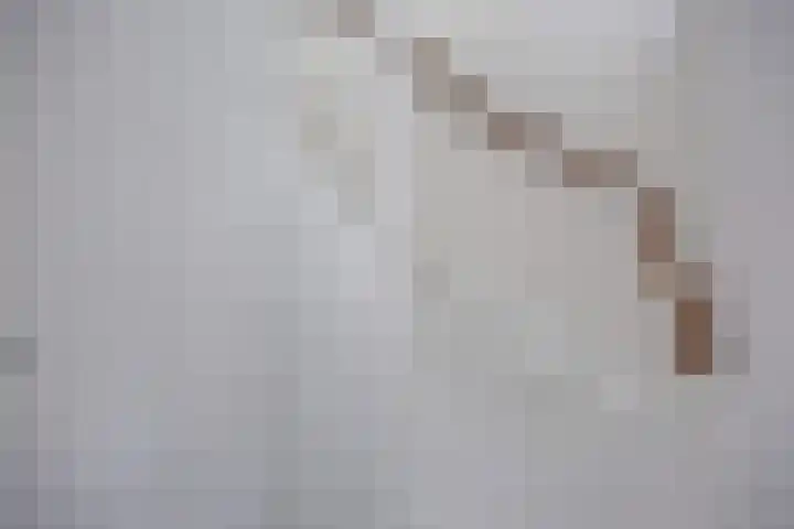 De Roterij 4 Bedum thumbnail 17