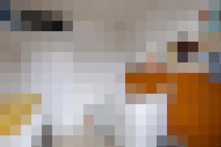 De Roterij 4 Bedum thumbnail 24