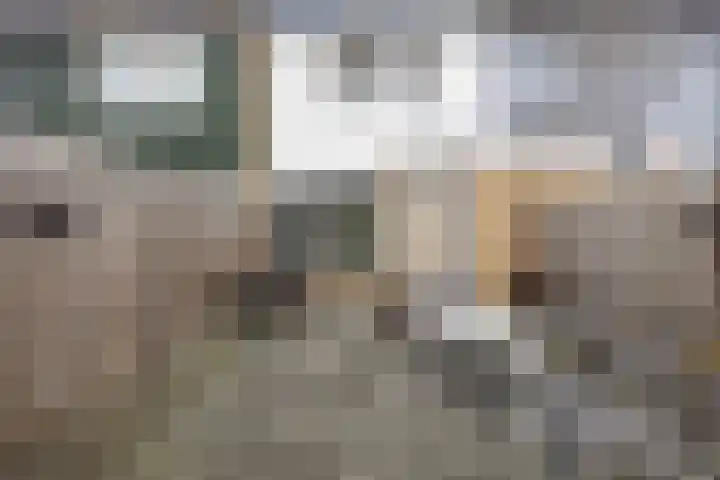 De Roterij 4 Bedum thumbnail 36