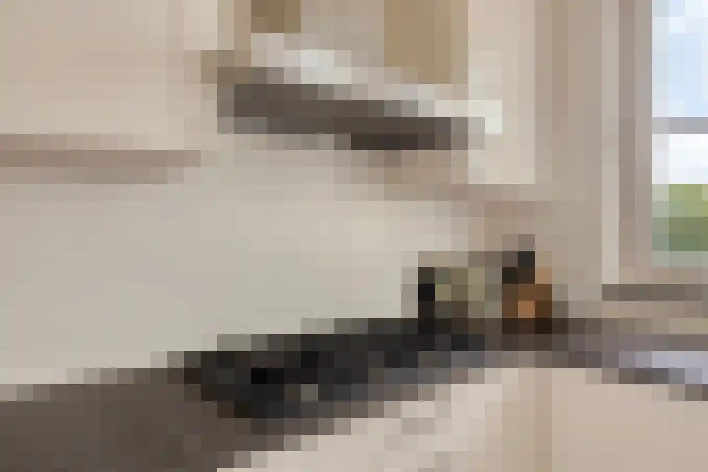 De Roterij 7 Dinteloord thumbnail 17