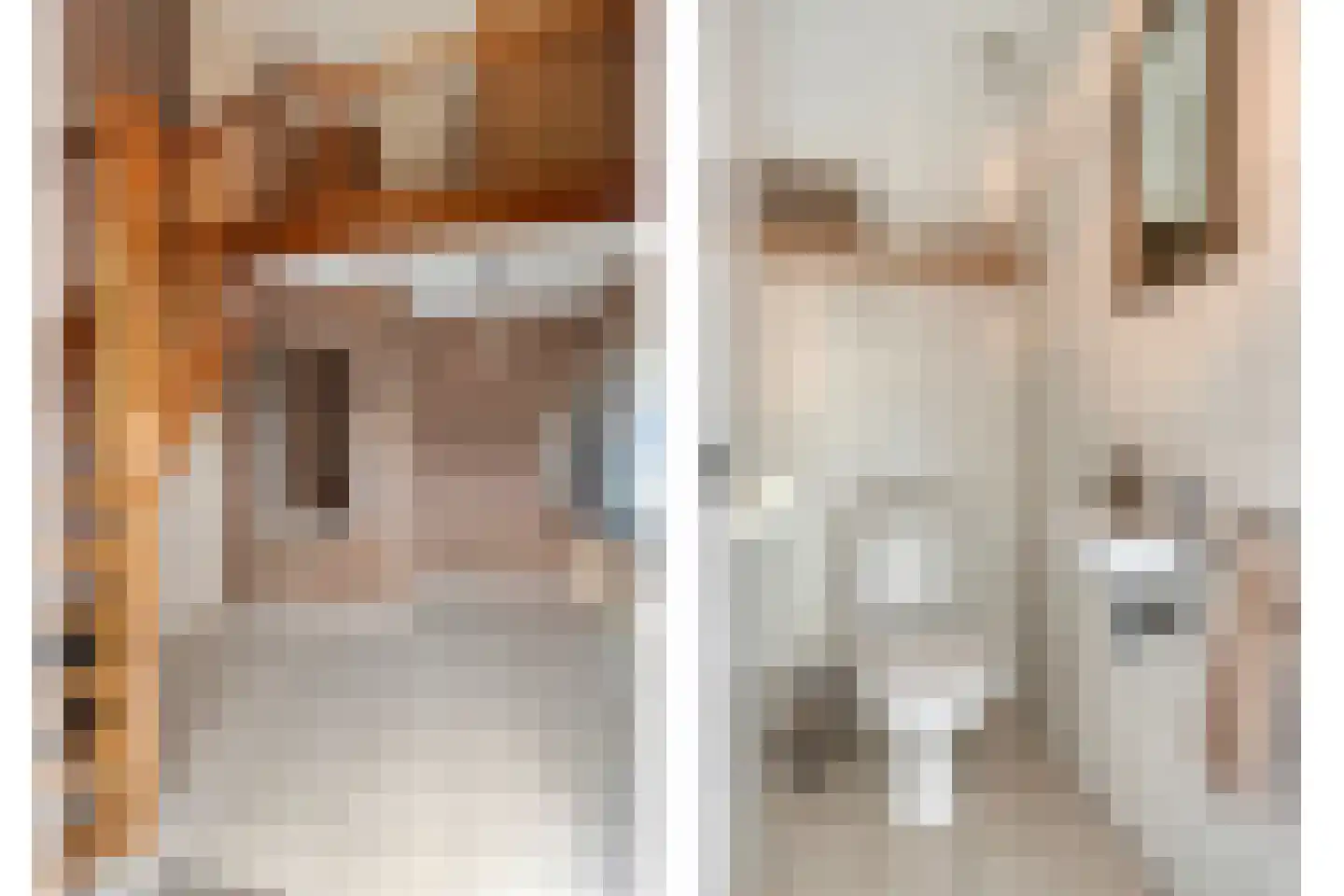 De Roterij 7 Dinteloord thumbnail 26