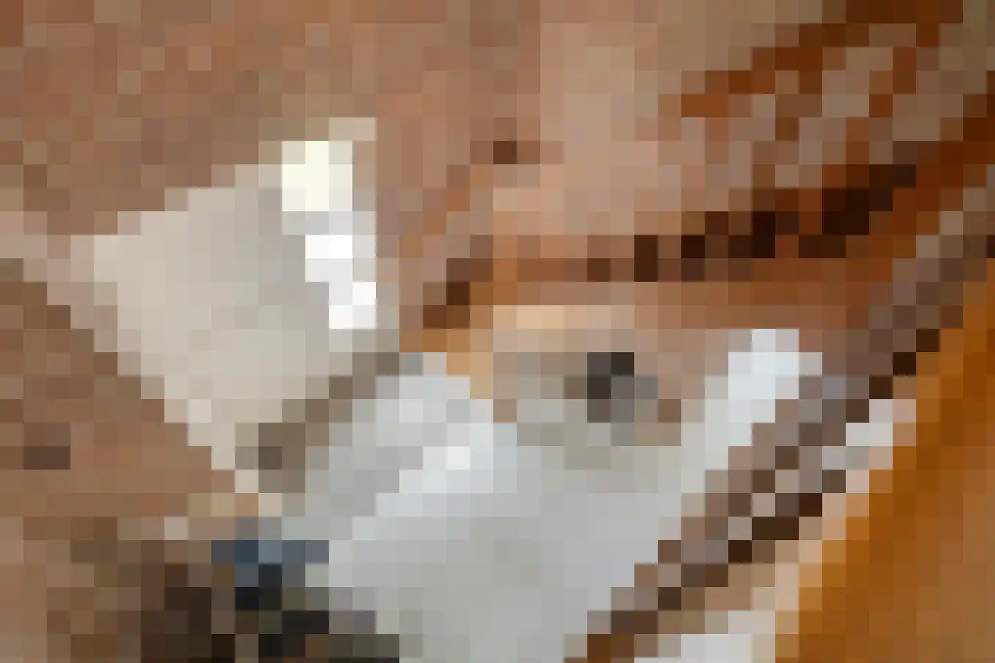 De Roterij 7 Dinteloord thumbnail 27