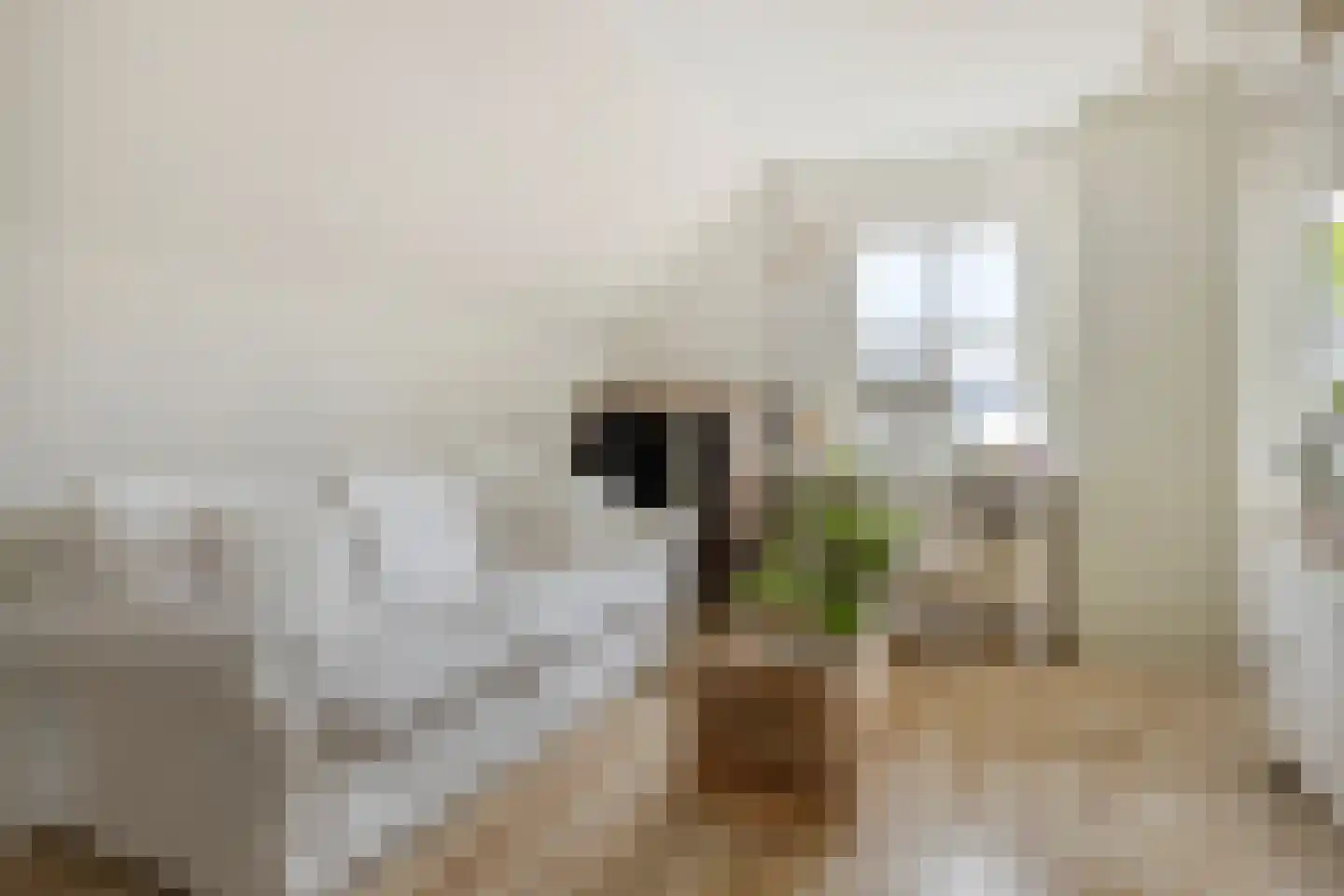 De Roterij 7 Dinteloord thumbnail 32