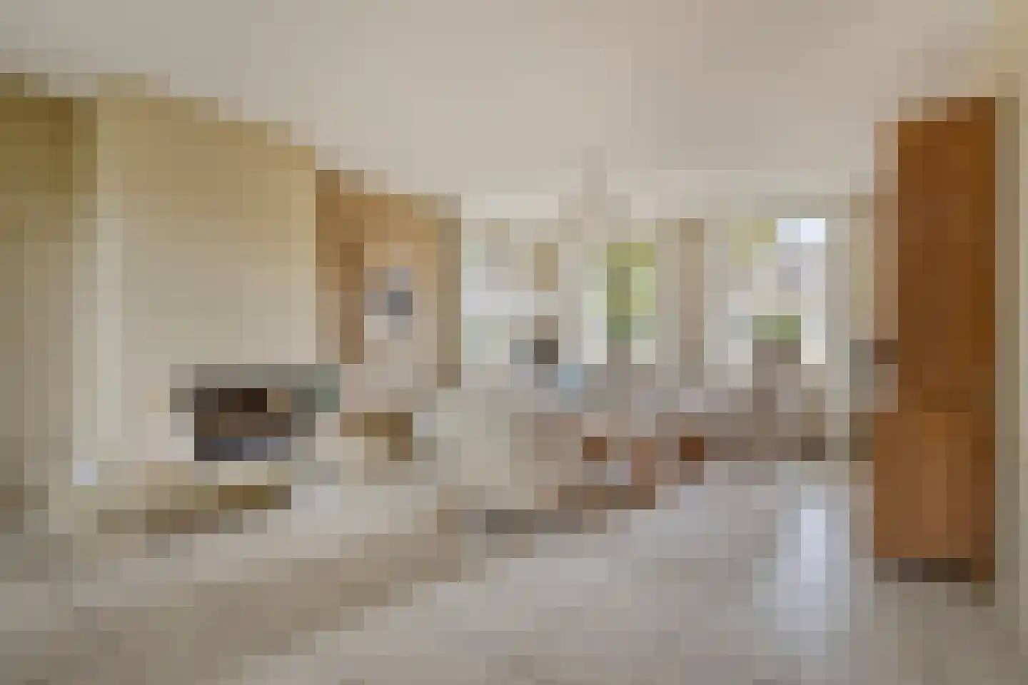 De Roterij 7 Dinteloord thumbnail 4
