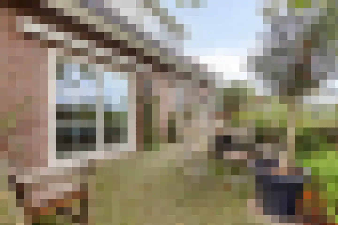 De Roterij 7 Dinteloord thumbnail 41