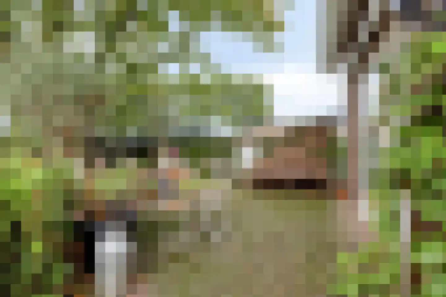 De Roterij 7 Dinteloord thumbnail 42