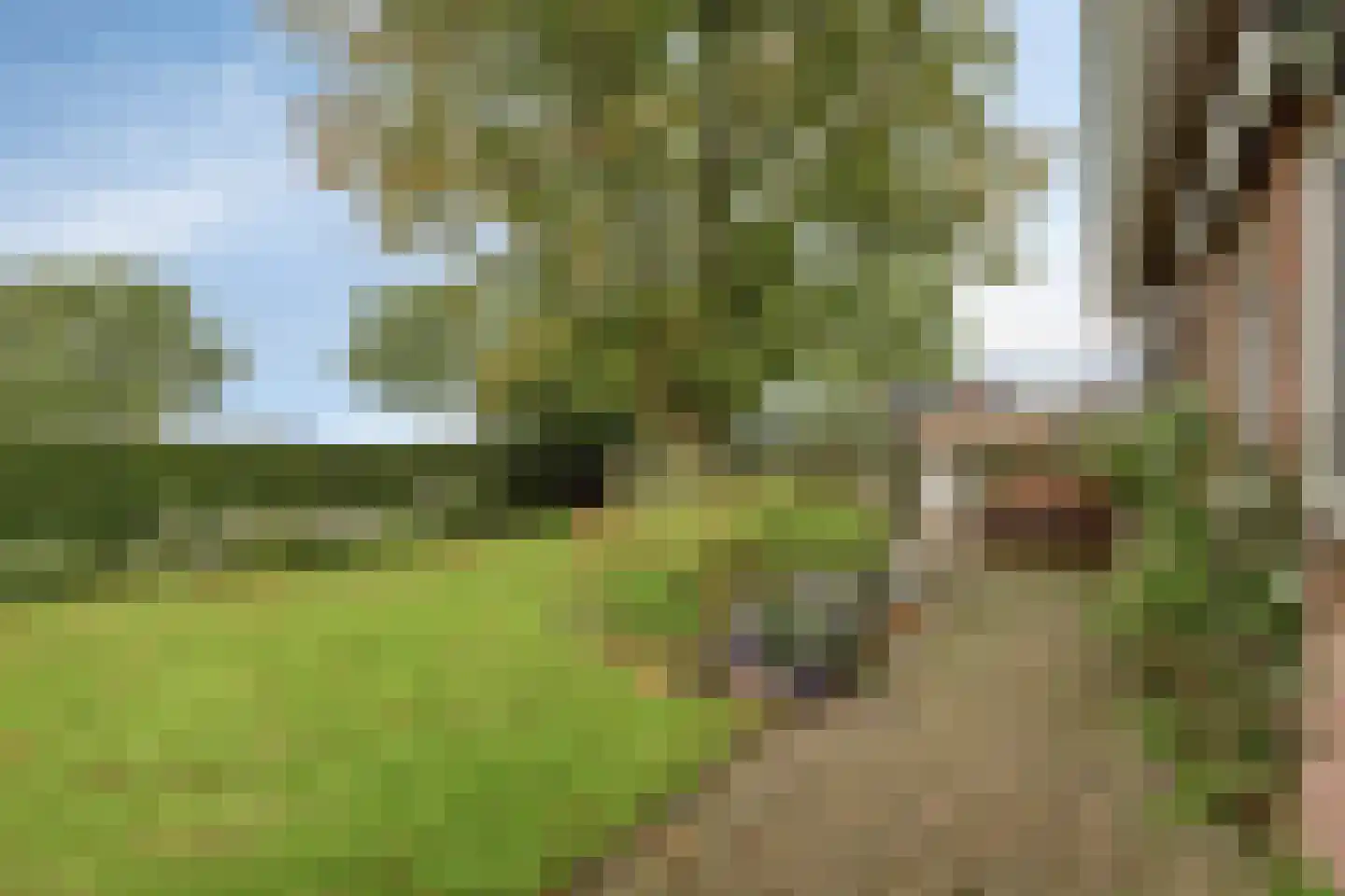 De Roterij 7 Dinteloord thumbnail 43