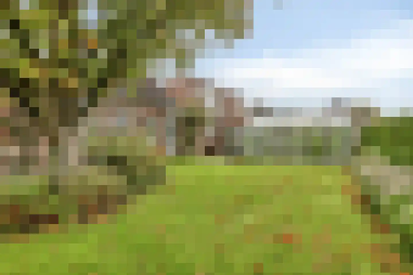 De Roterij 7 Dinteloord thumbnail 46