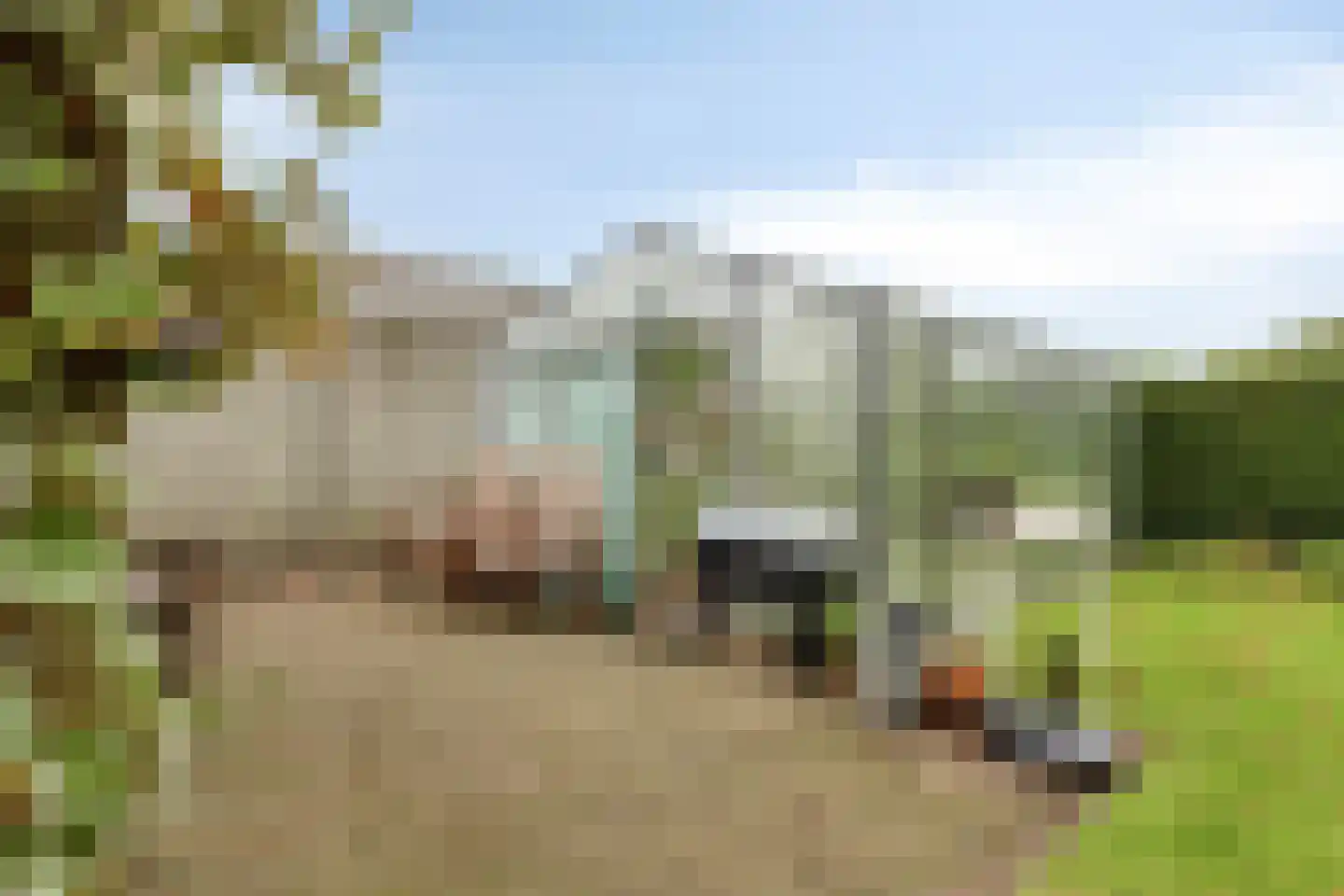 De Roterij 7 Dinteloord thumbnail 47