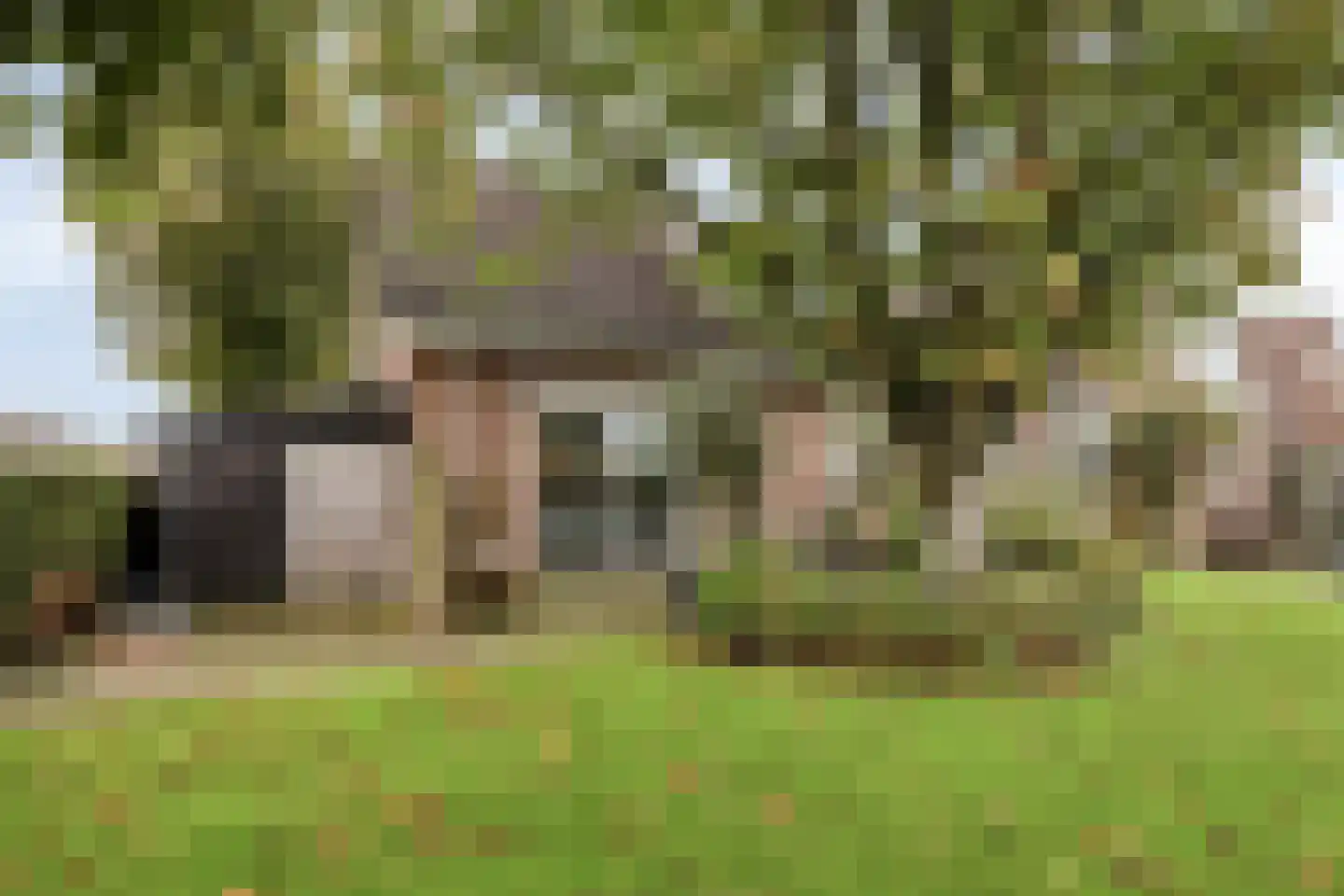De Roterij 7 Dinteloord thumbnail 50