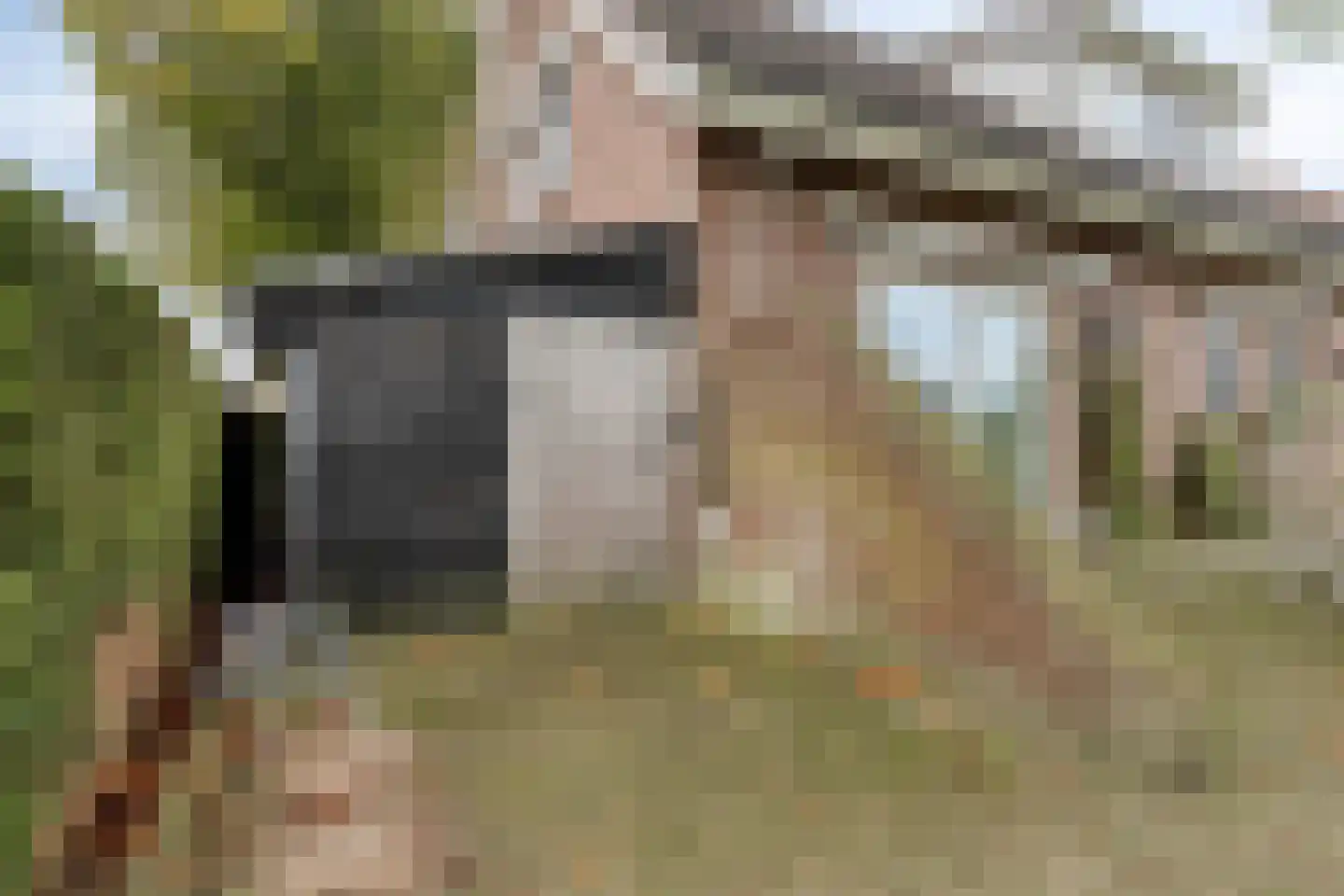 De Roterij 7 Dinteloord thumbnail 51