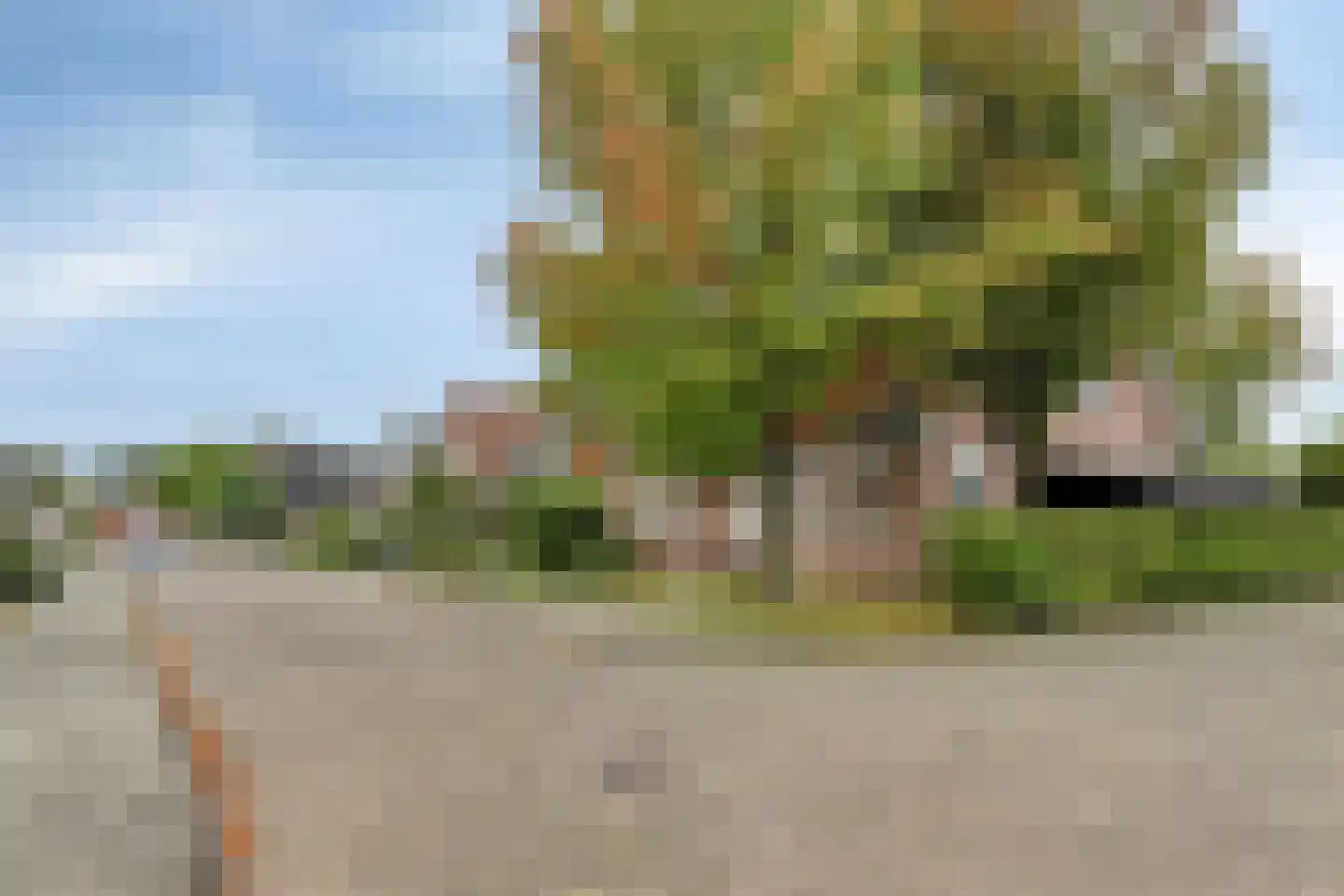 De Roterij 7 Dinteloord thumbnail 55