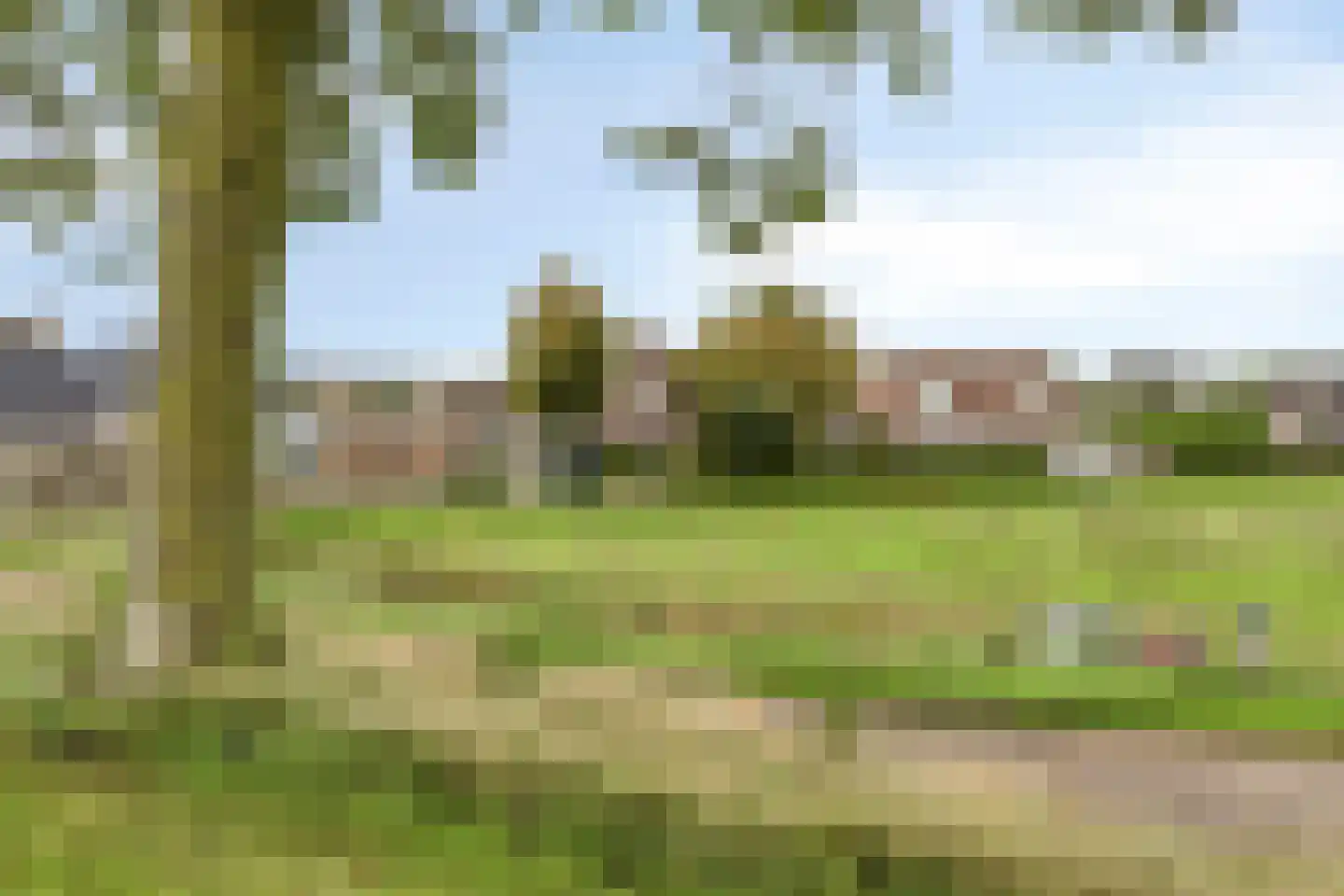 De Roterij 7 Dinteloord thumbnail 59