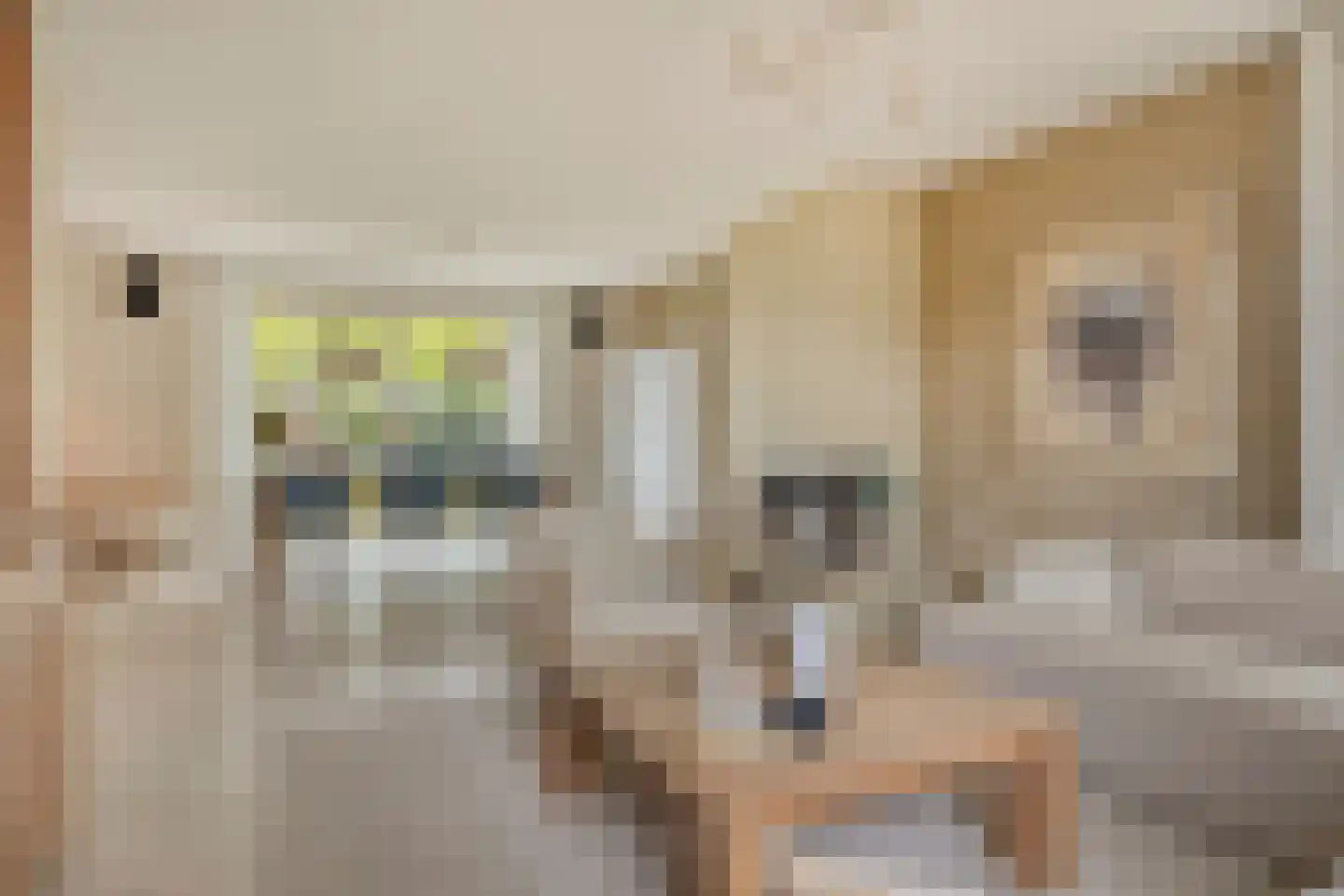 De Roterij 7 Dinteloord thumbnail 7