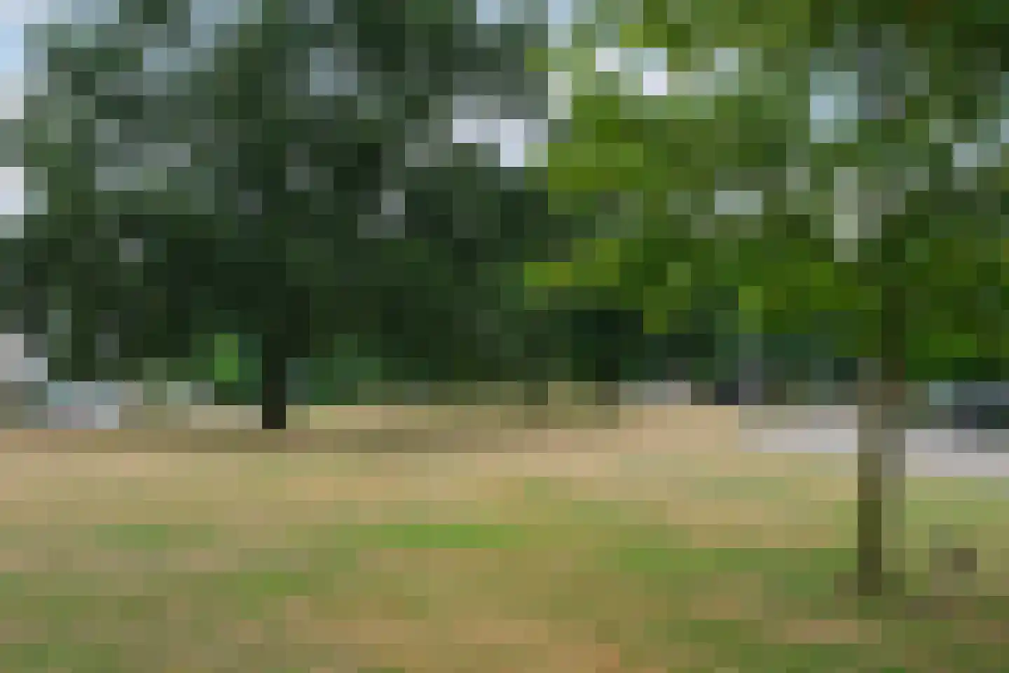 De Rotsduif 19 Almelo thumbnail 23