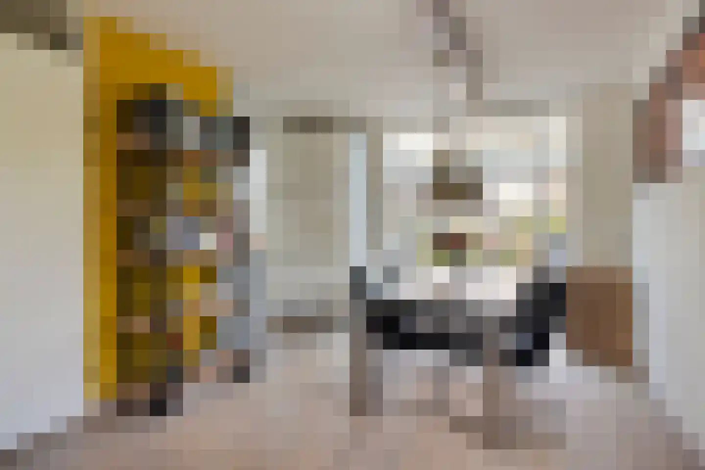 De Rotsduif 33 Almelo thumbnail 10