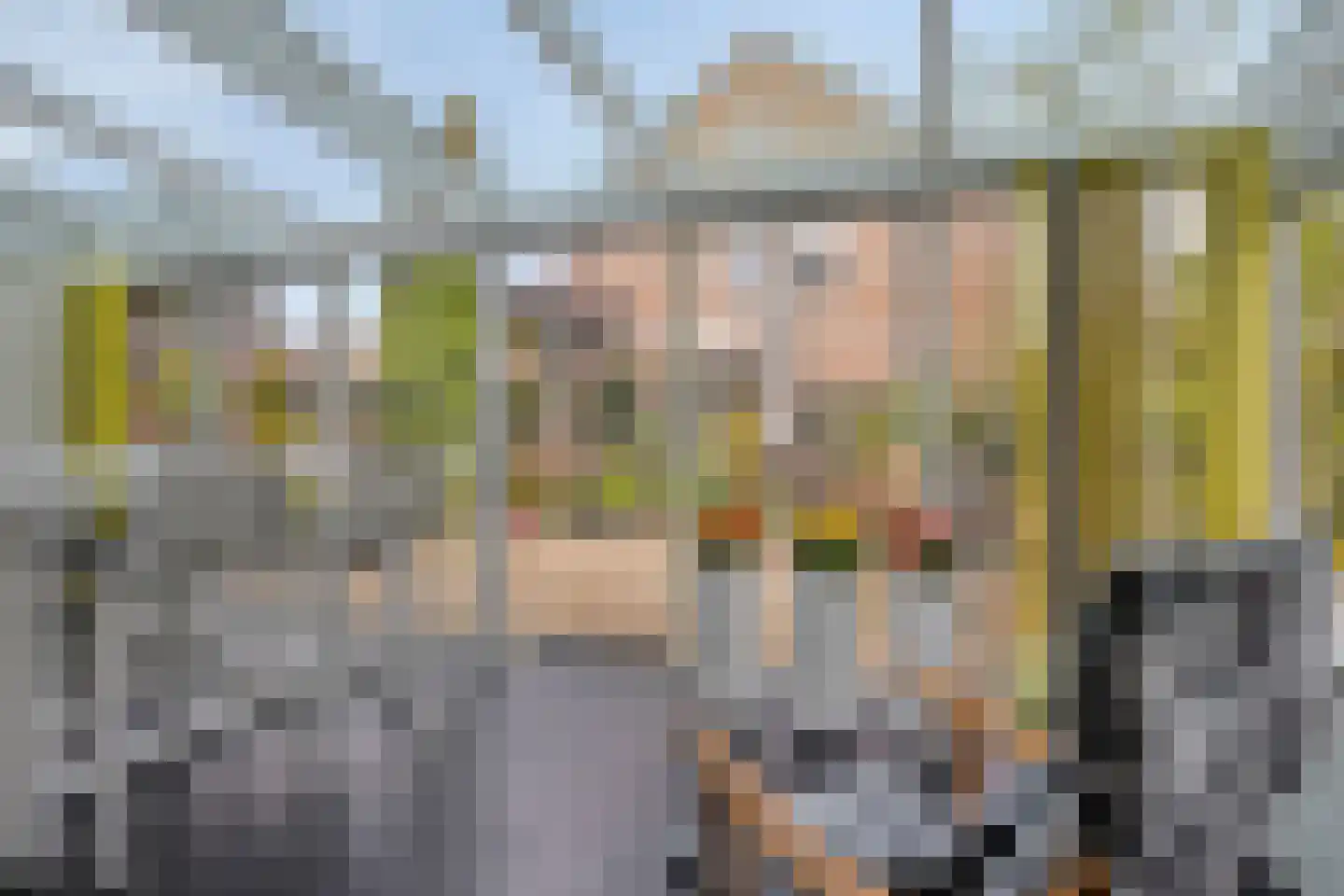 De Rotsduif 33 Almelo thumbnail 18