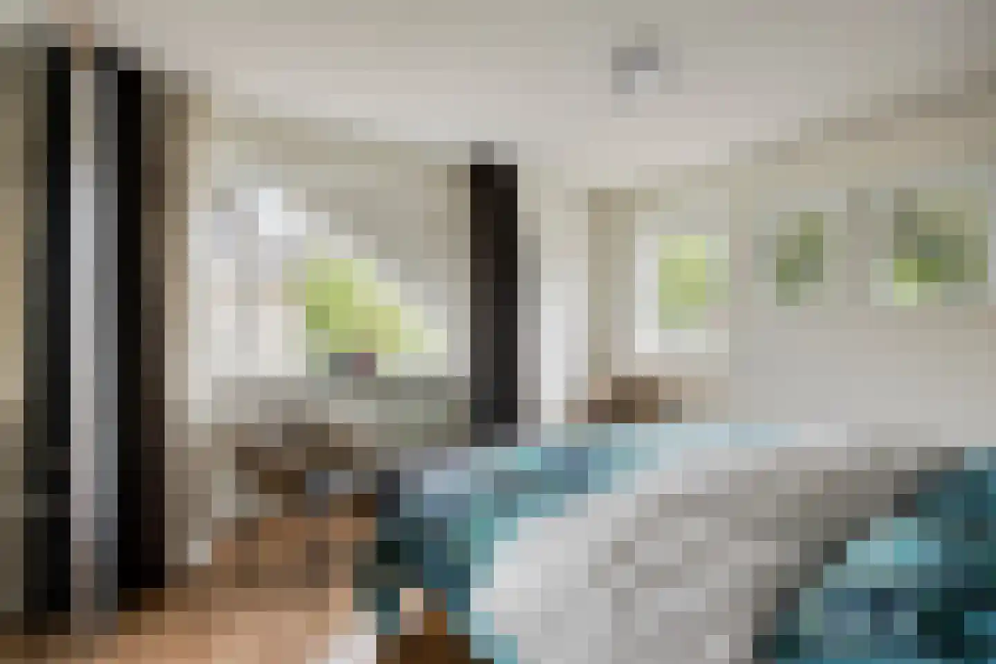 De Rotsduif 33 Almelo thumbnail 21