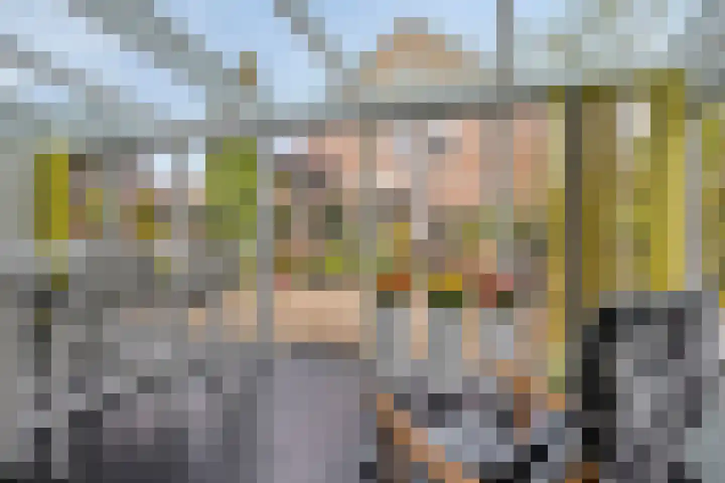 De Rotsduif 33 Almelo thumbnail 22