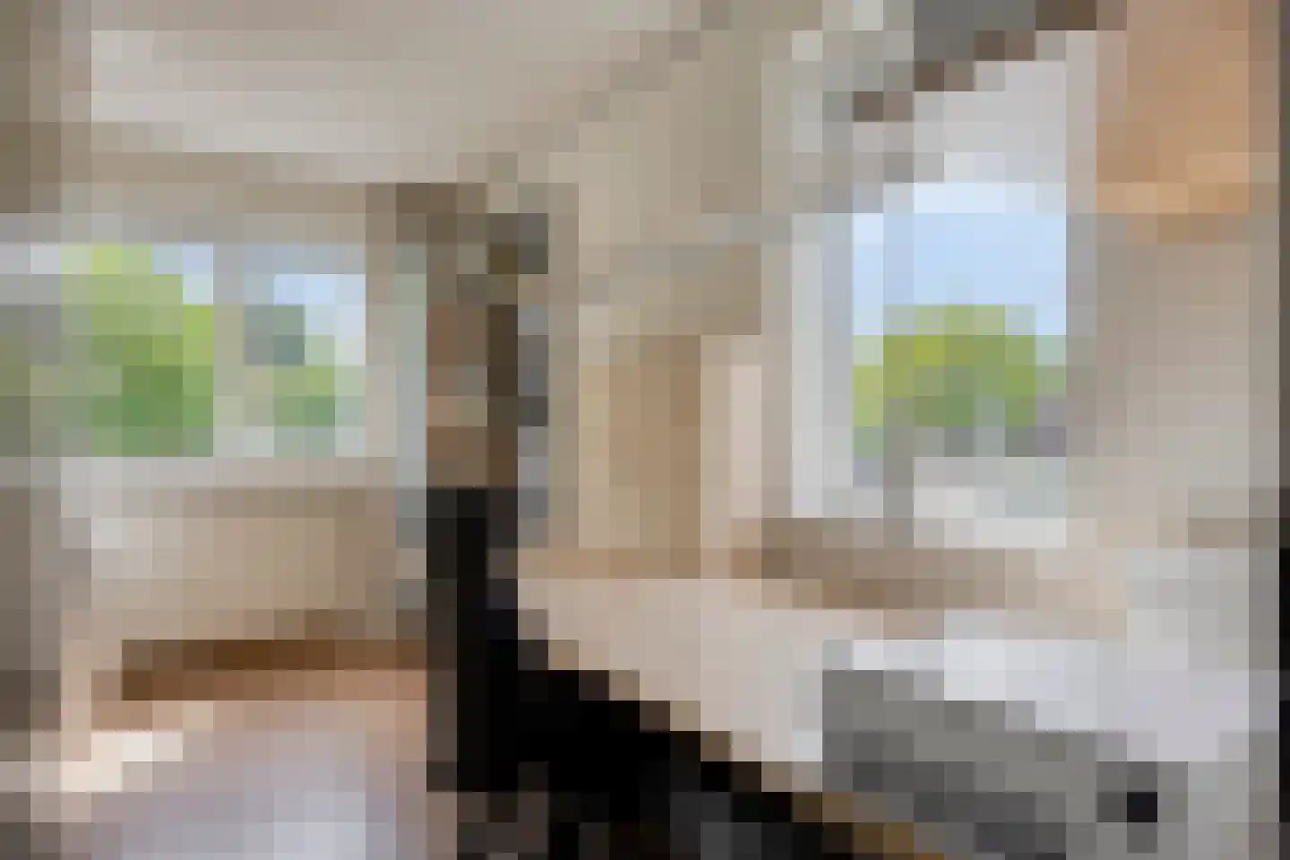 De Rotsduif 33 Almelo thumbnail 25