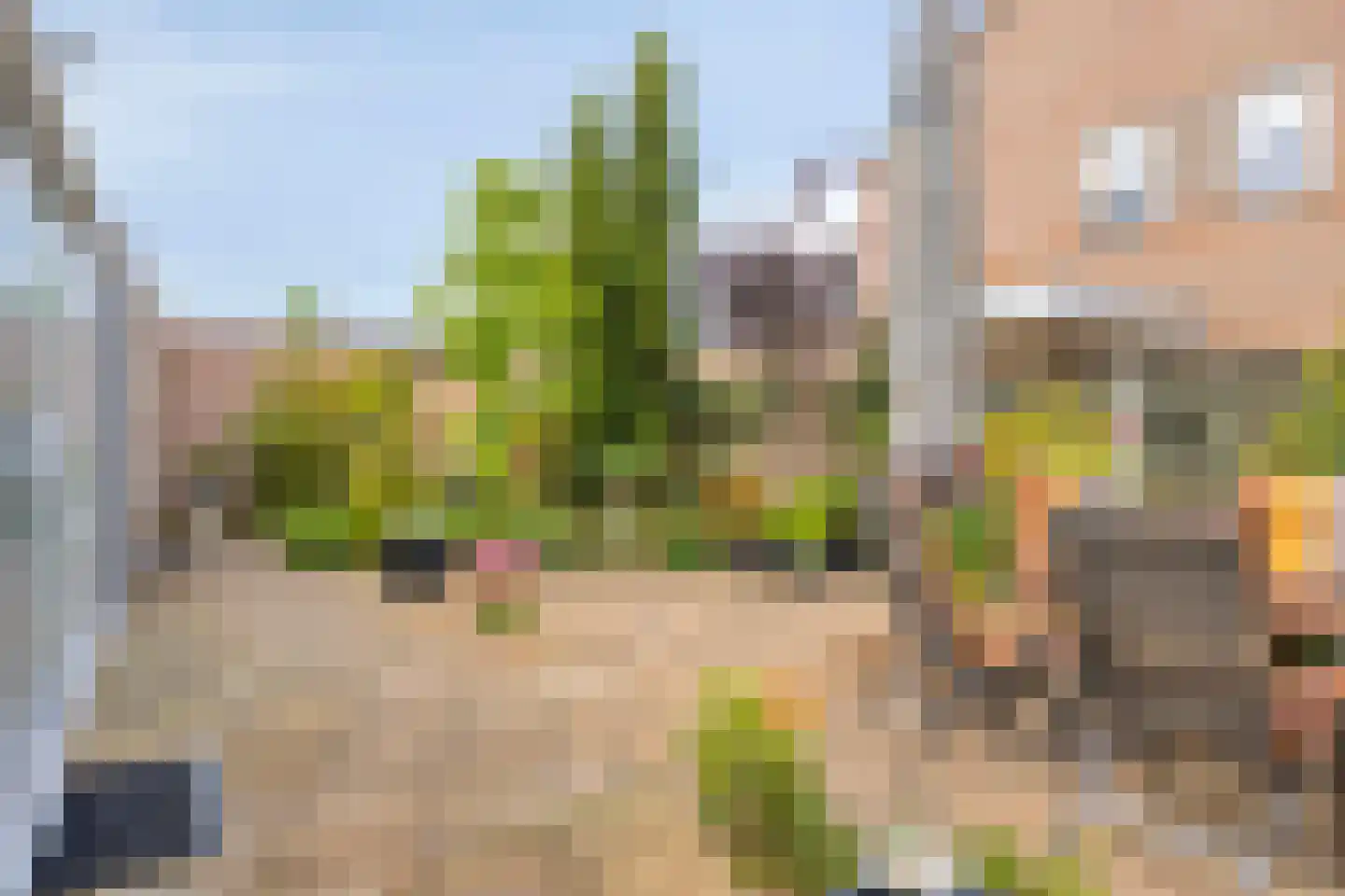 De Rotsduif 33 Almelo thumbnail 31