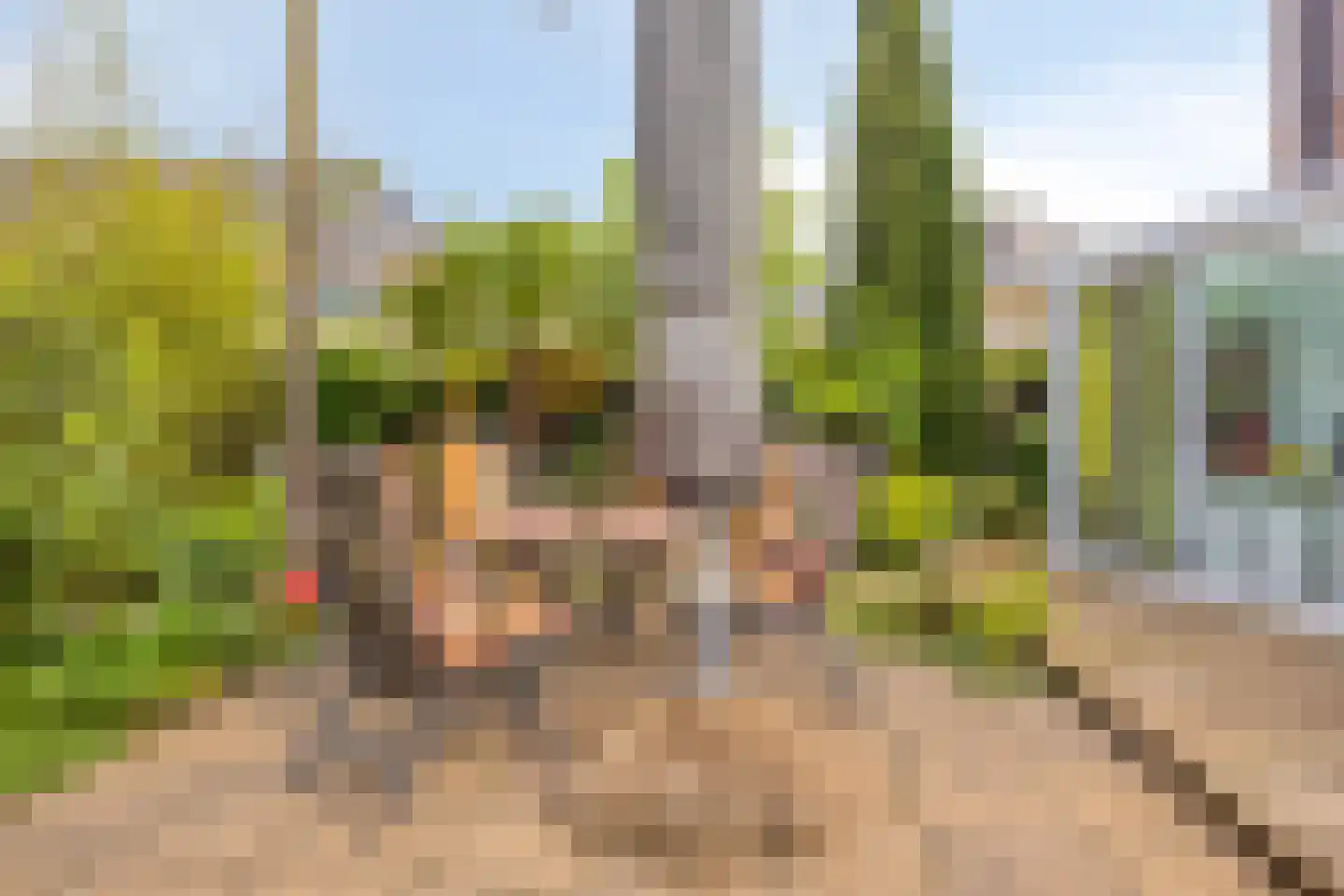 De Rotsduif 33 Almelo thumbnail 33
