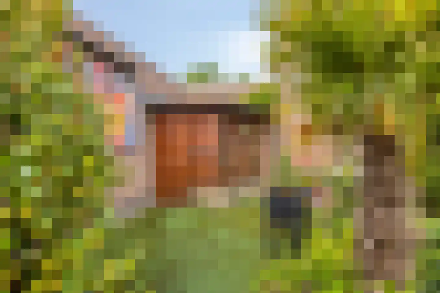 De Rotsduif 33 Almelo thumbnail 34