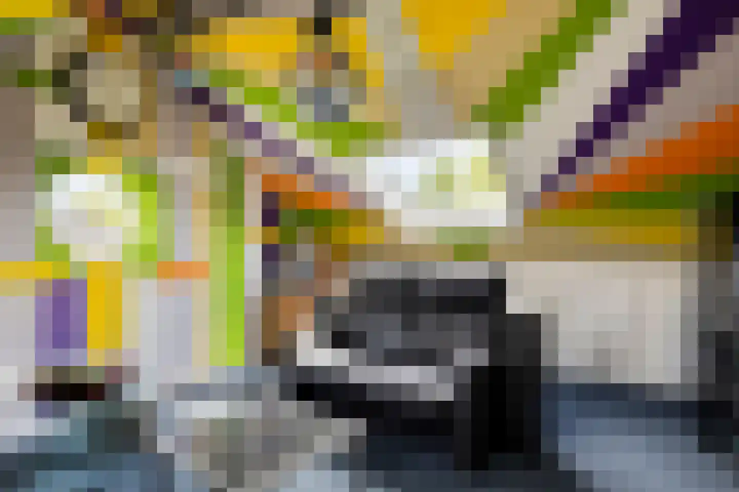 De Rotsduif 33 Almelo thumbnail 34