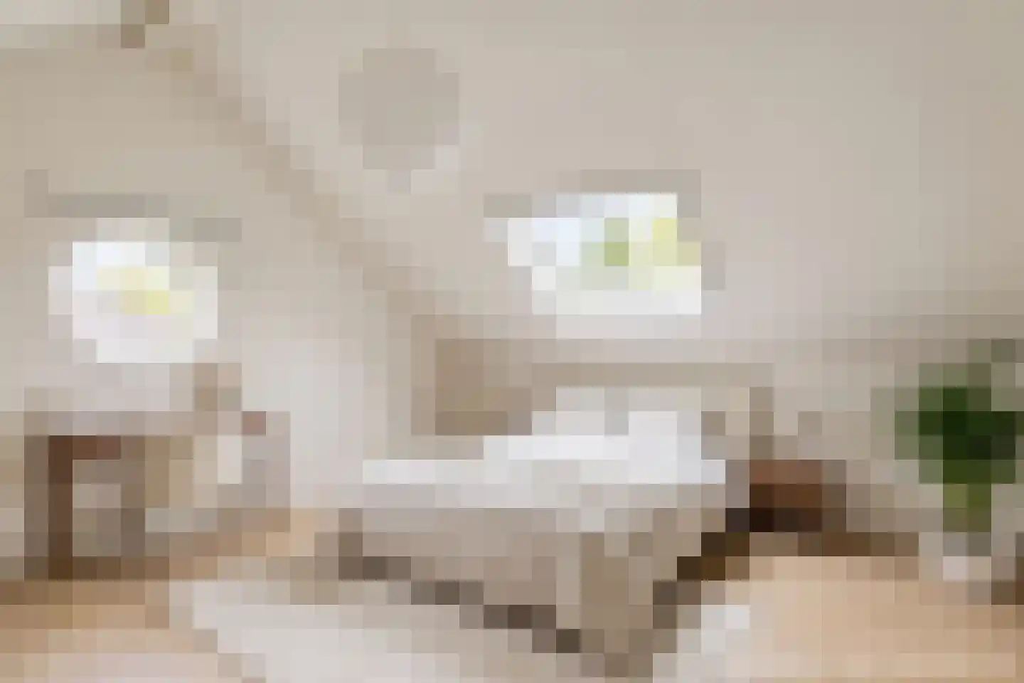 De Rotsduif 33 Almelo thumbnail 35