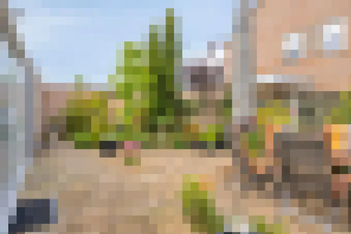 De Rotsduif 33 Almelo thumbnail 37