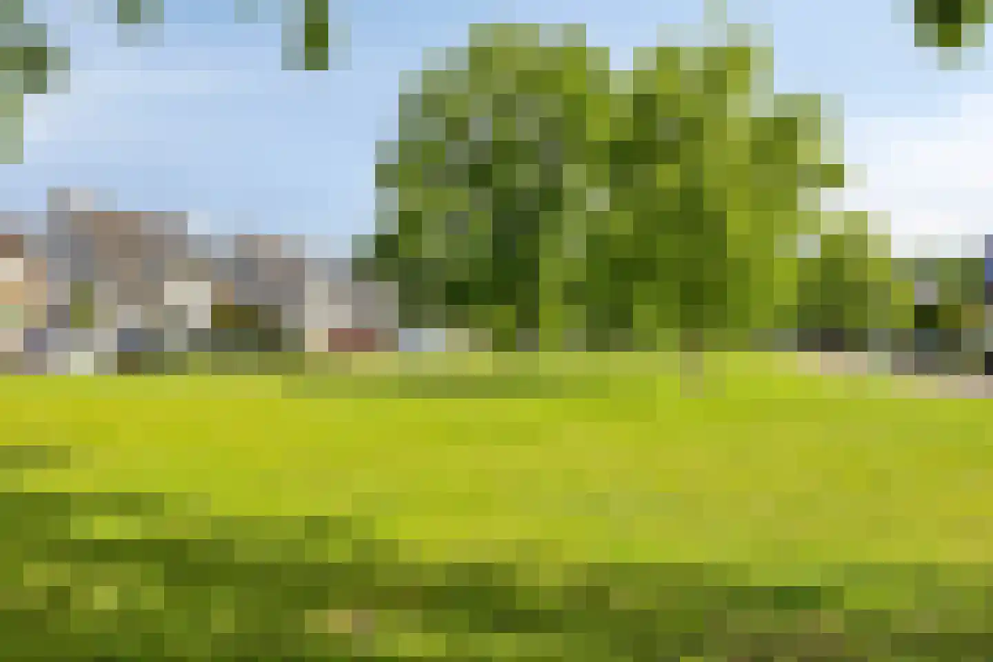 De Rotsduif 33 Almelo thumbnail 39
