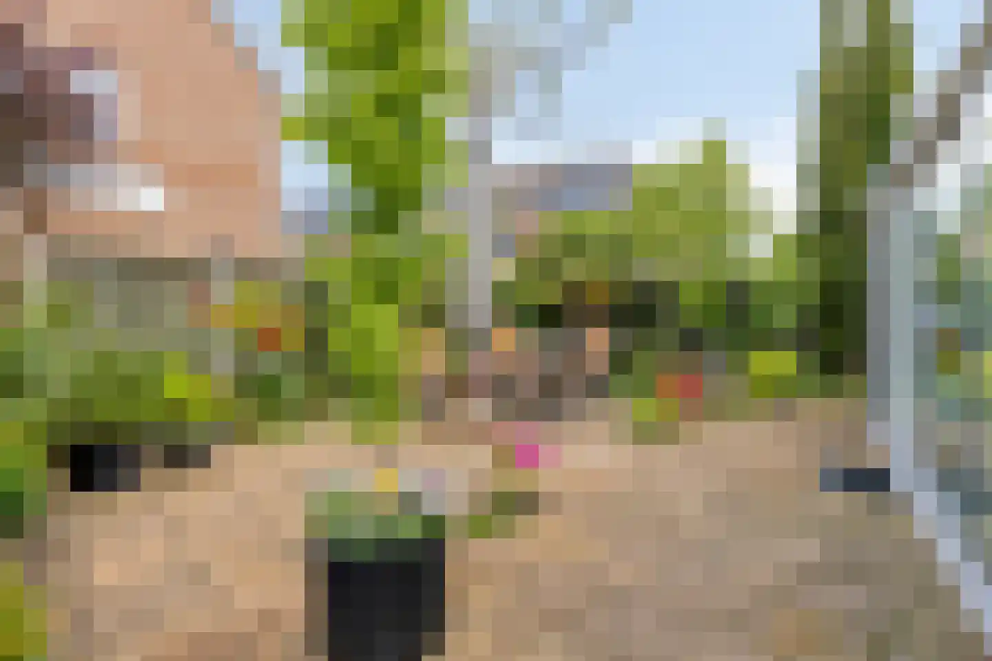 De Rotsduif 33 Almelo thumbnail 4