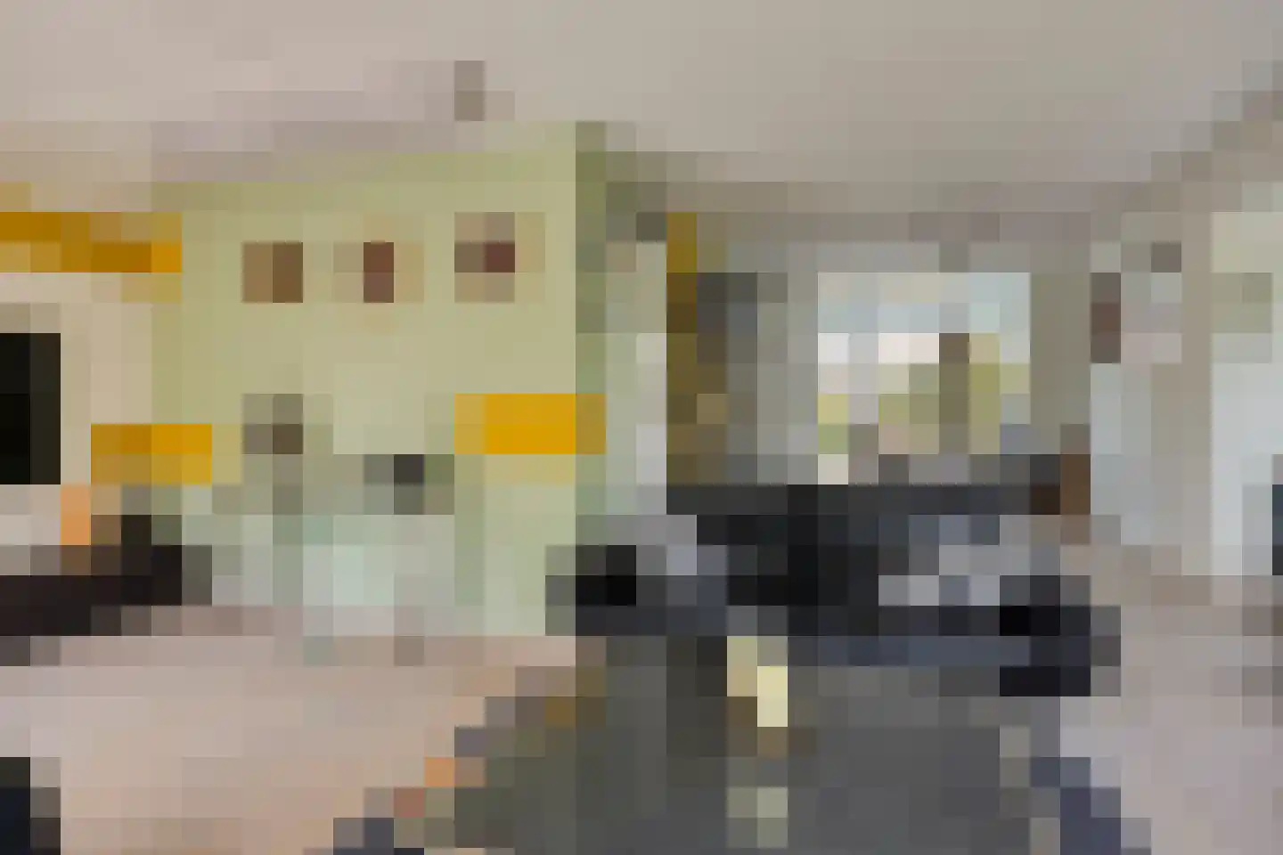 De Rotsduif 33 Almelo thumbnail 9