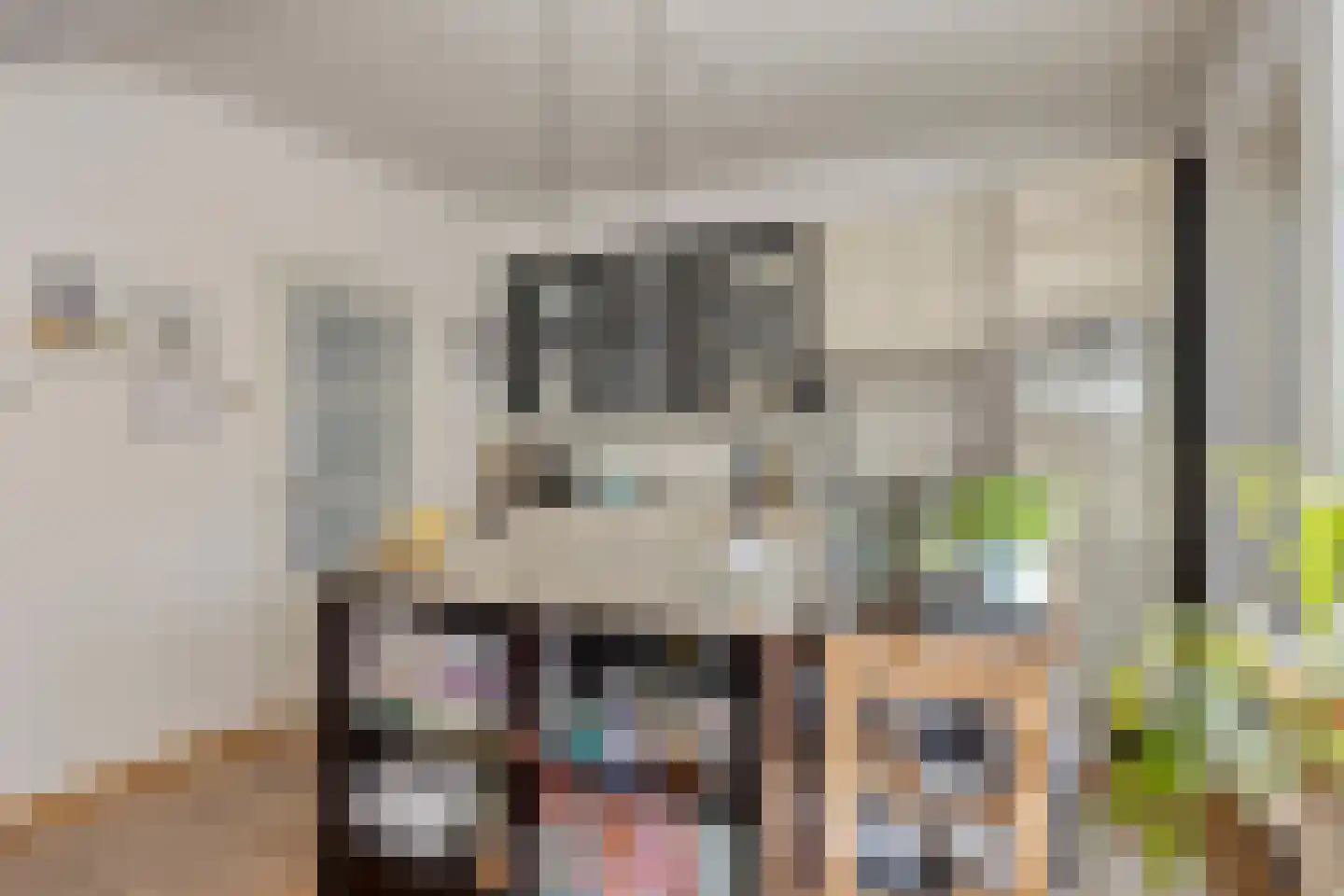 De Roverestraat 1 Vlijmen thumbnail 10