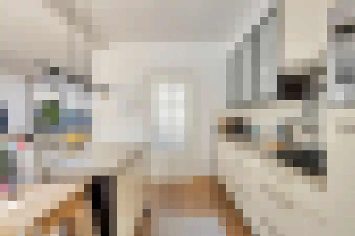 De Roverestraat 1 Vlijmen thumbnail 12