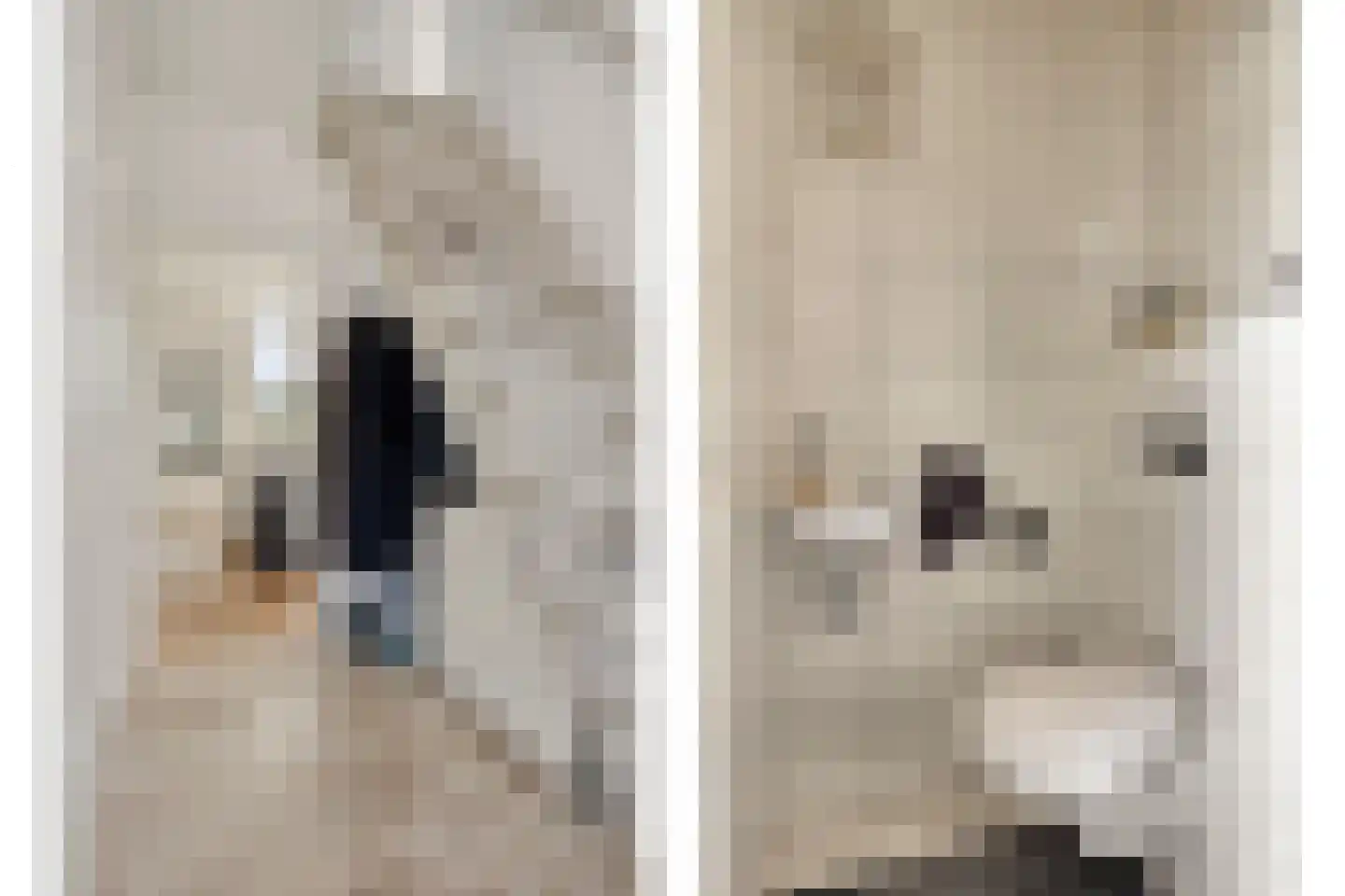 De Roverestraat 1 Vlijmen thumbnail 14