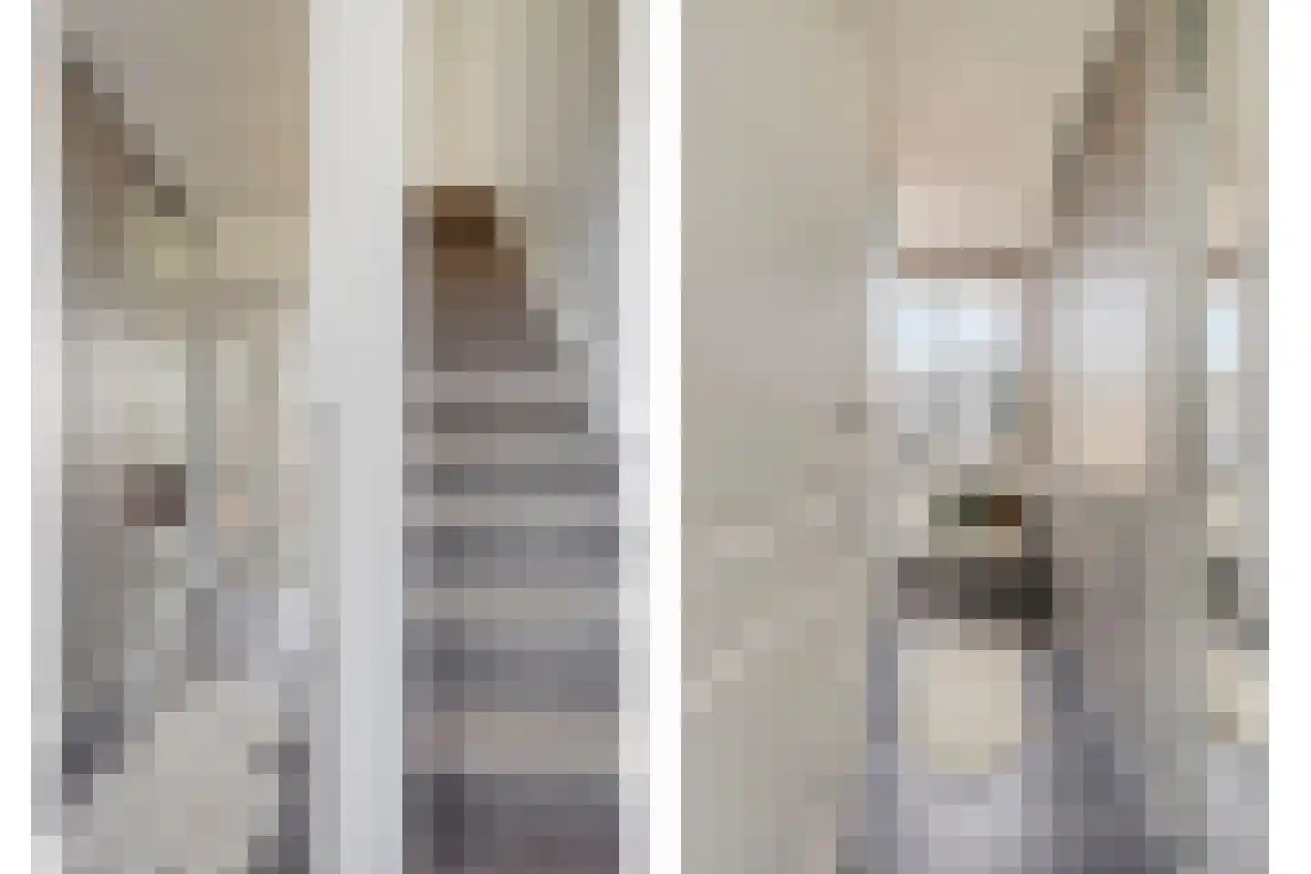 De Roverestraat 1 Vlijmen thumbnail 24