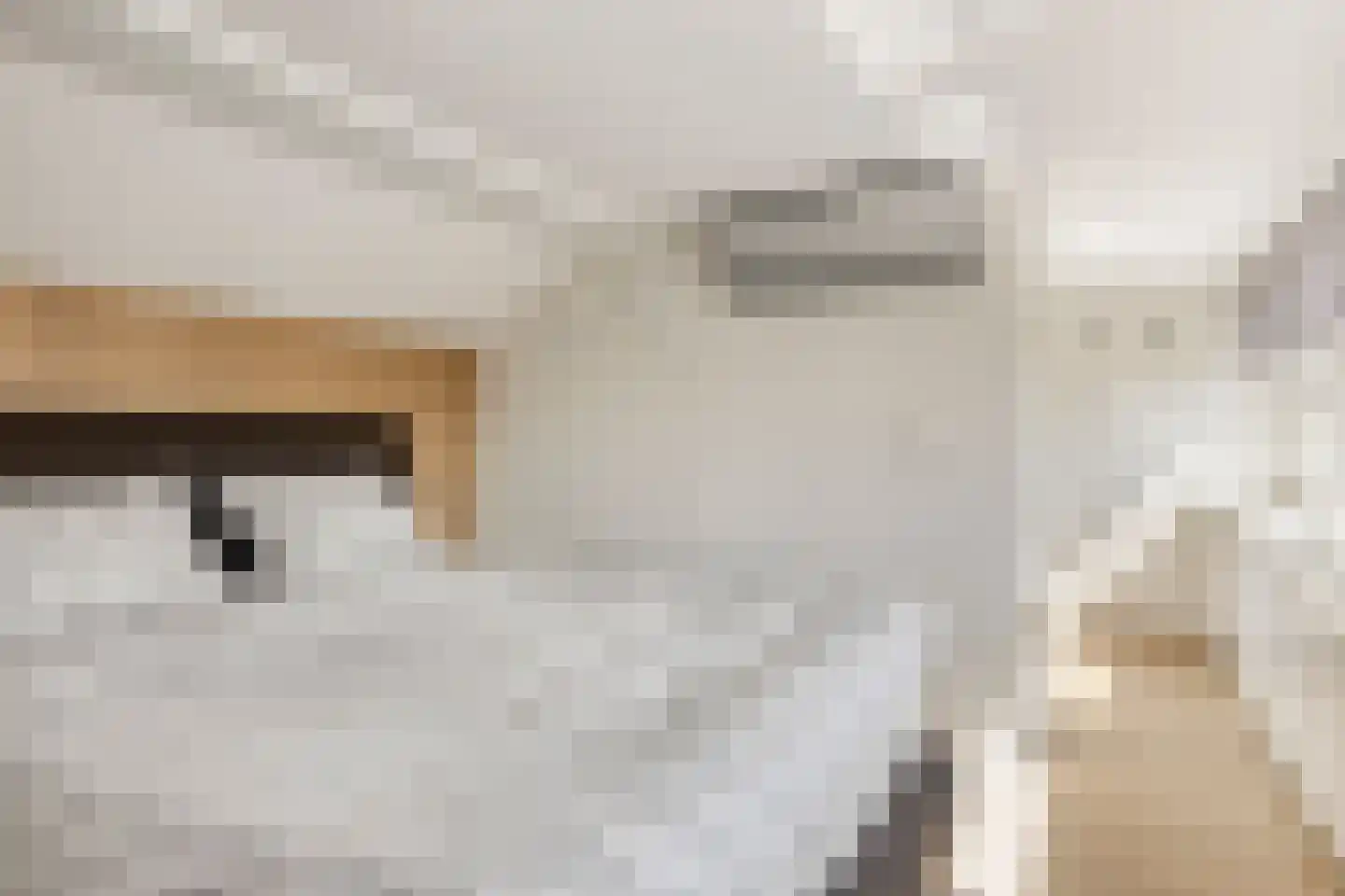 De Roverestraat 1 Vlijmen thumbnail 29
